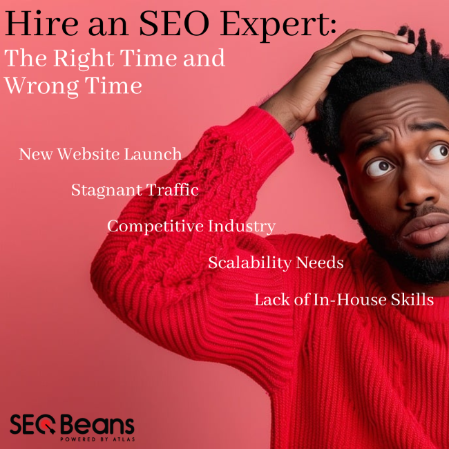 hire seo expert